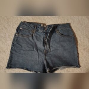 Everlane Classic Blue Jean Cutoff Shorts